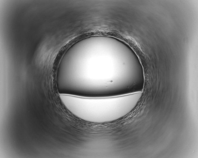 X0000093741159200710160744