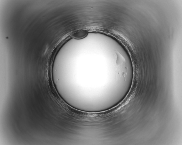 X0000093741162200710160744