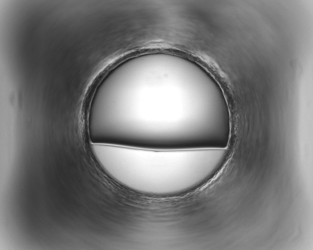 X0000093741167200710160744