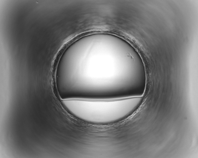 X0000093741168200710160744