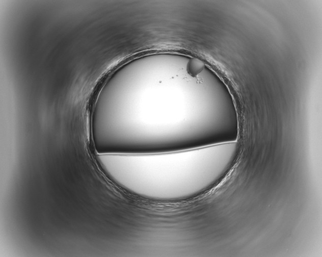 X0000093741171200710160744