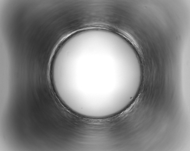 X0000093741172200710160744