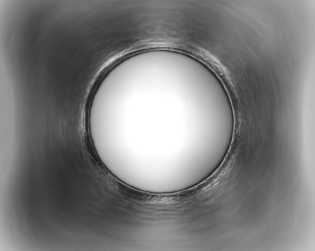 X0000093741174200710160744