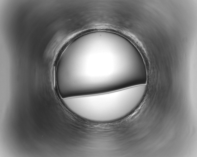 X0000093741175200710160744