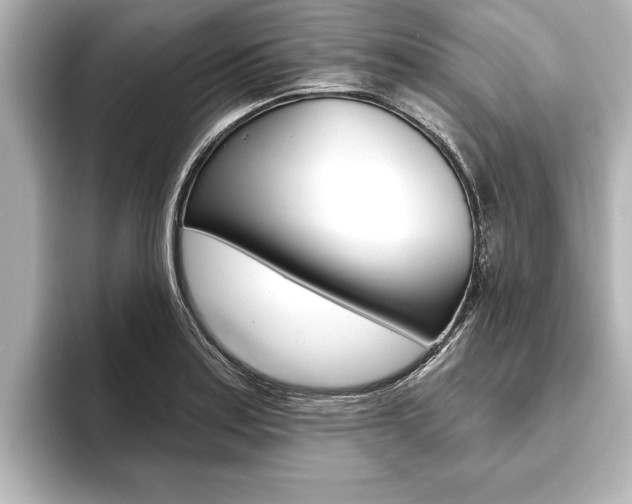 X0000093741179200710160744