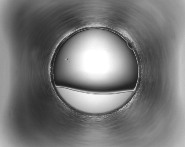 X0000093741181200710160744
