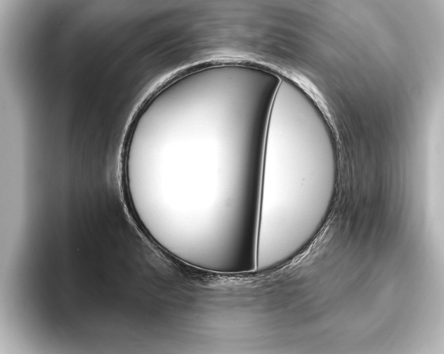 X0000093741183200710160744