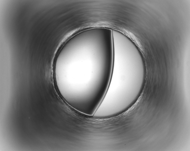 X0000093741184200710160744