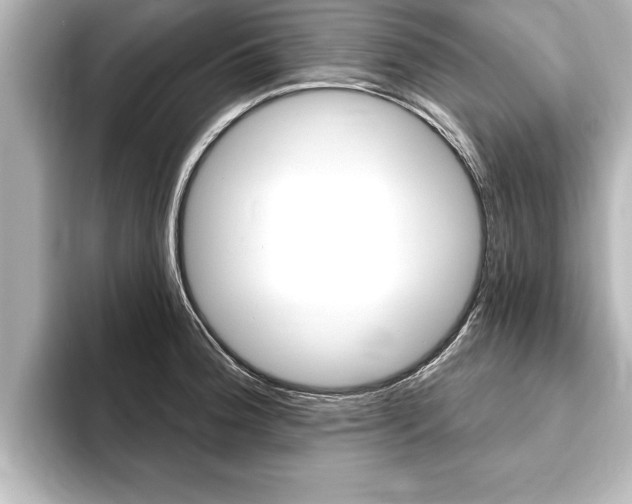 X0000093741188200710160744