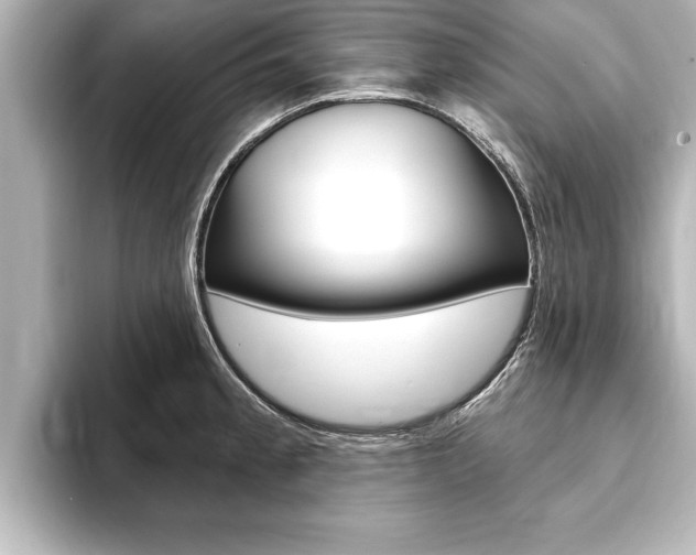 X0000093741189200710160744
