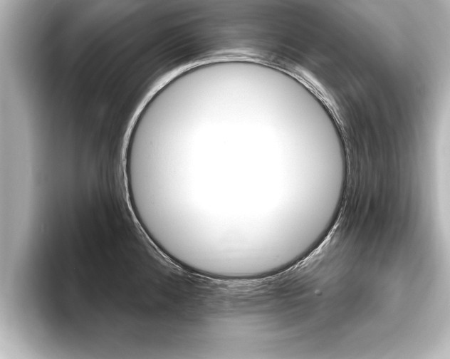 X0000093741192200710160743