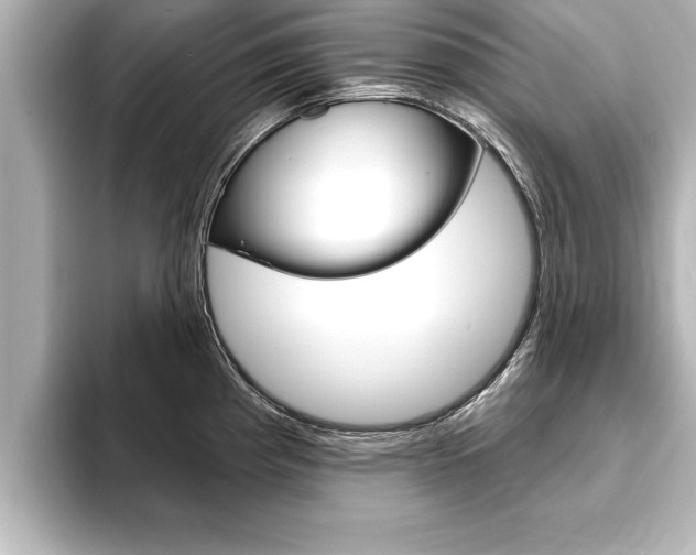 X0000093741193200710160743
