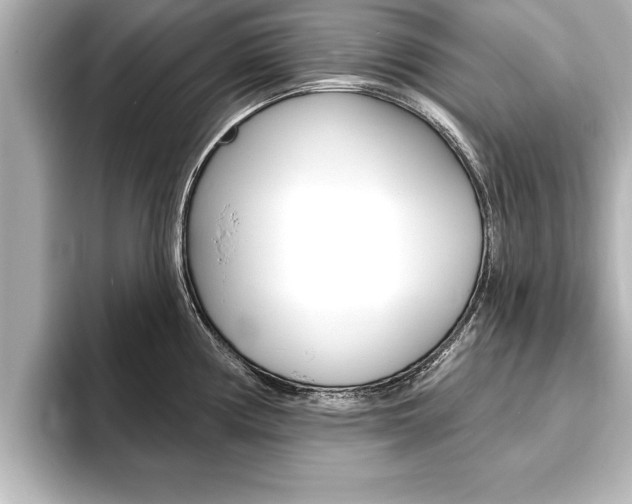 X0000093741194200710160743