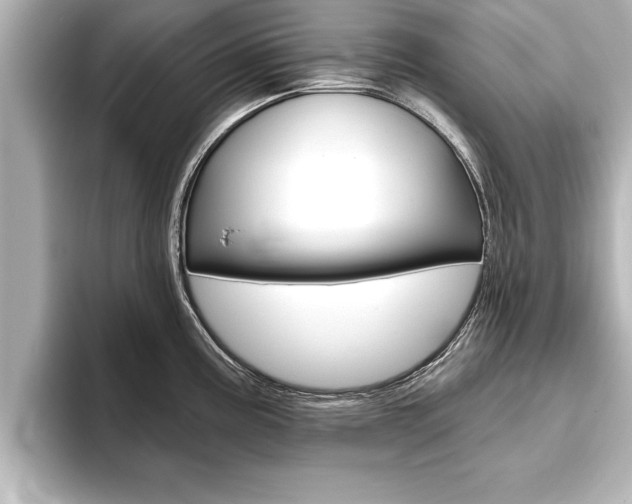 X0000093741195200710160743
