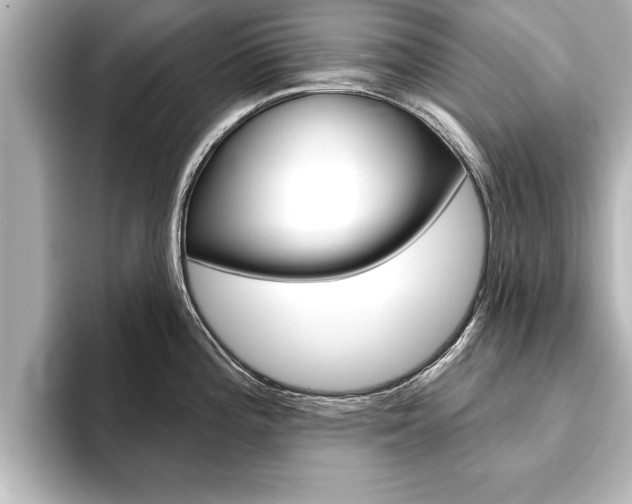 X0000093741196200710160743