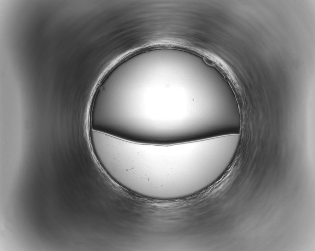 X0000093741199200710160743
