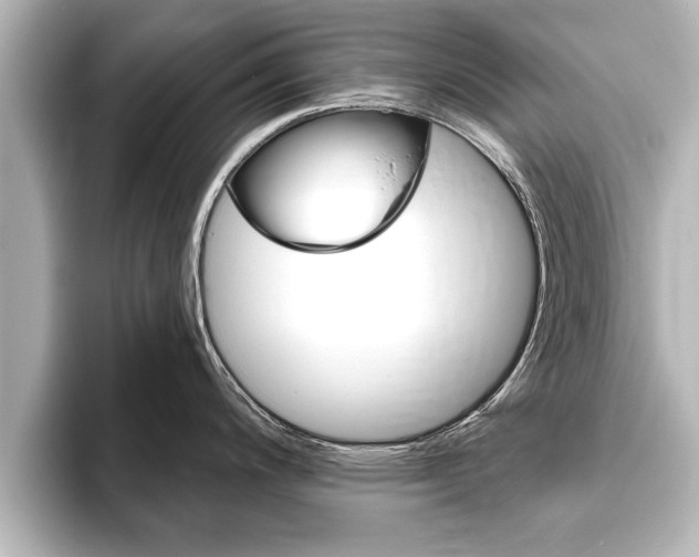 X0000093741200200710160743