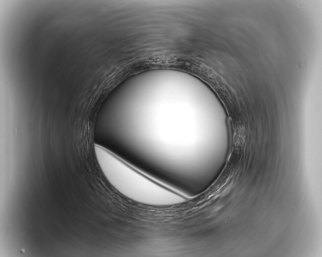 X0000093741202200710160743