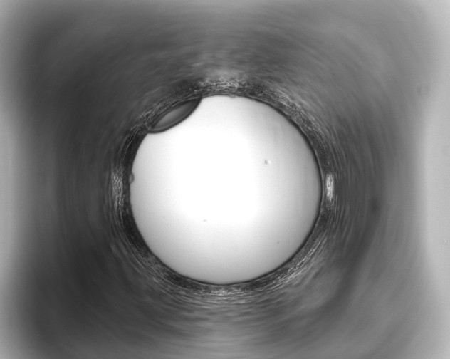 X0000093741203200710160743