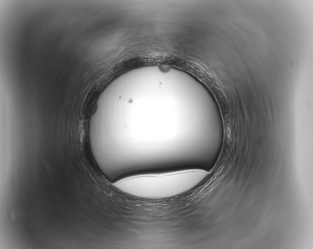 X0000093741204200710160743