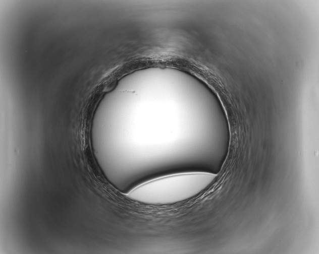 X0000093741205200710160743