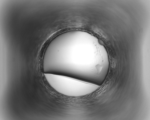 X0000093741208200710160743