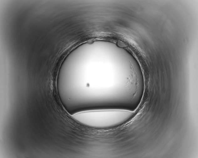 X0000093741209200710160743