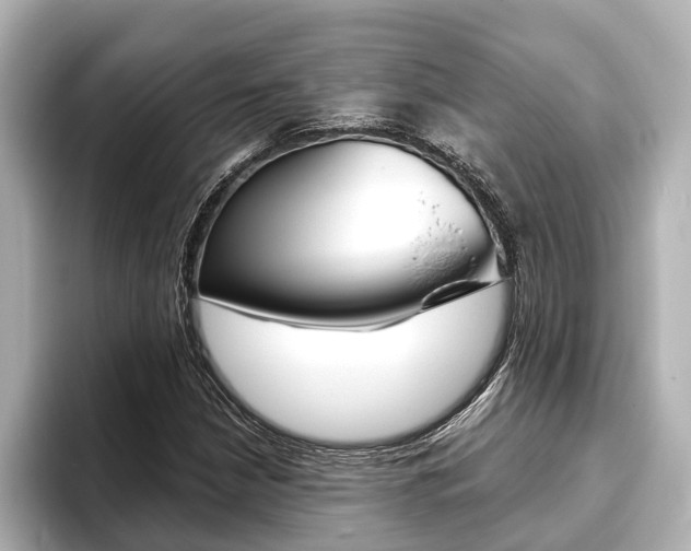 X0000093741210200710160743
