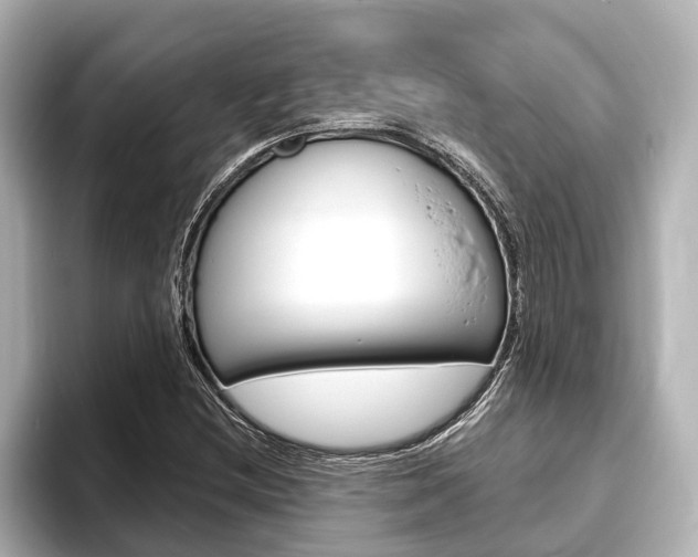 X0000093741212200710160743