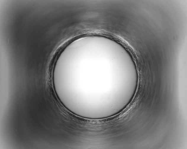 X0000093741215200710160743
