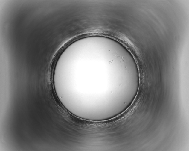 X0000093741216200710160743