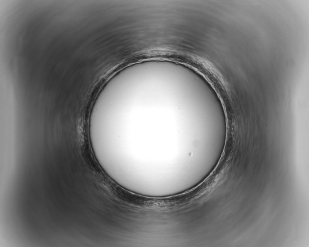 X0000093741217200710160743