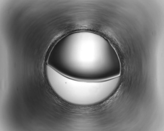 X0000093741218200710160743
