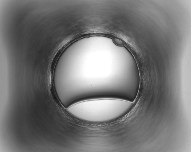 X0000093741221200710160743