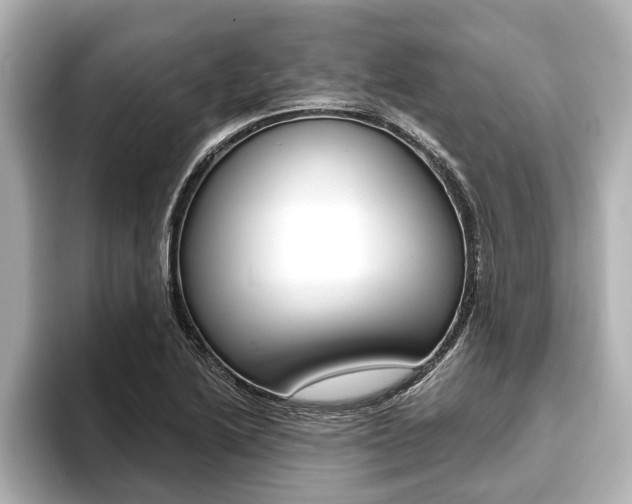 X0000093741222200710160743