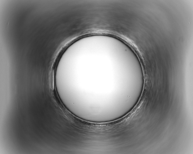 X0000093741223200710160743