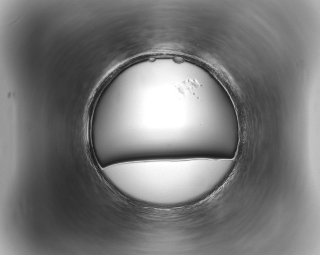 X0000093741224200710160743