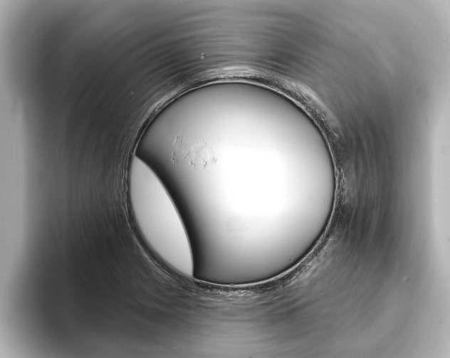 X0000093741225200710160743