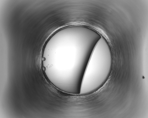 X0000093741228200710160743
