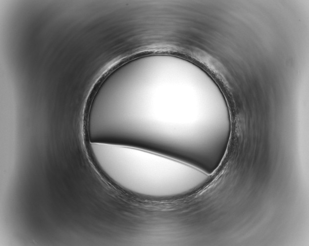 X0000093741229200710160743