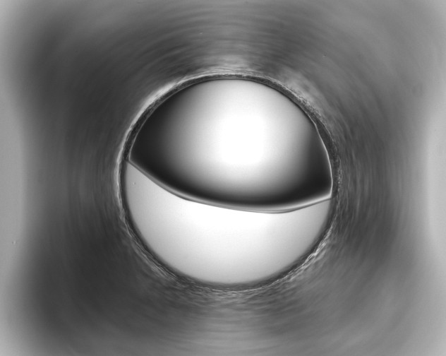 X0000093741230200710160743