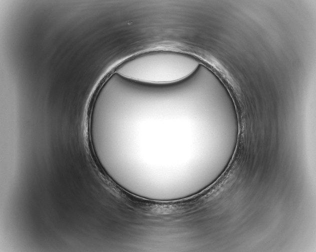 X0000093741232200710160743