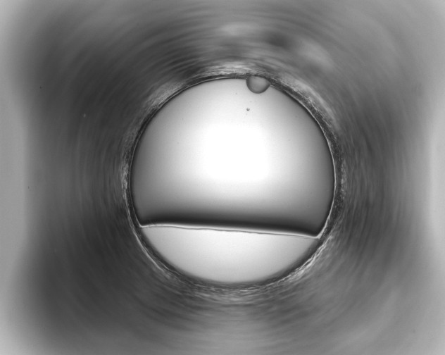 X0000093741233200710160743