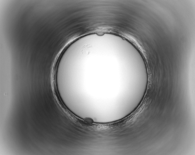 X0000093741235200710160743
