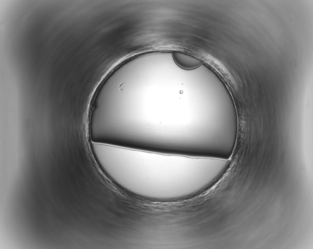 X0000093741236200710160743