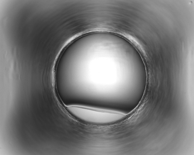 X0000093741238200710160743