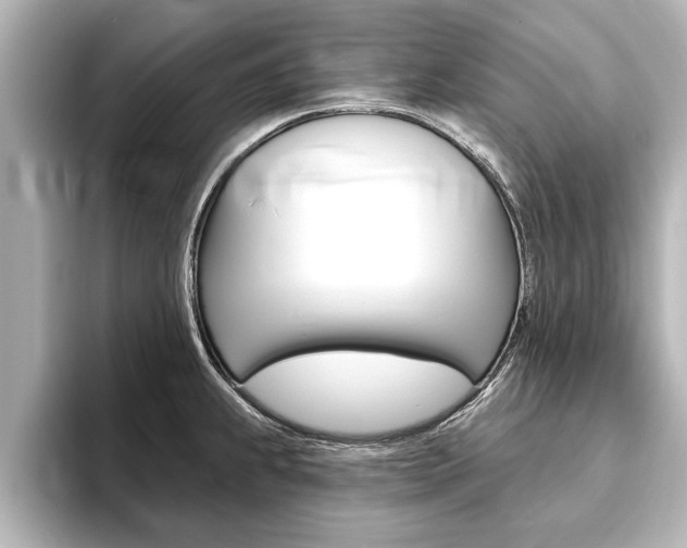 X0000093741239200710160743