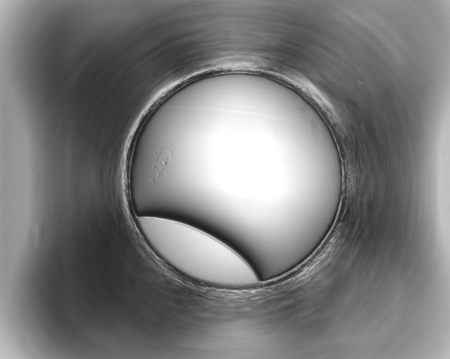 X0000093741240200710160743
