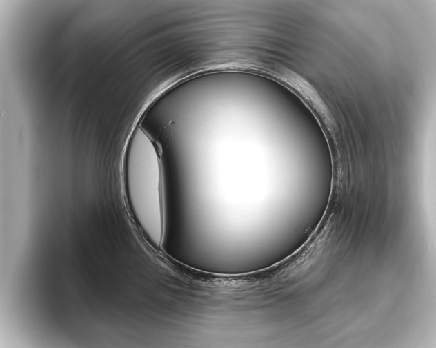 X0000093741242200710160743