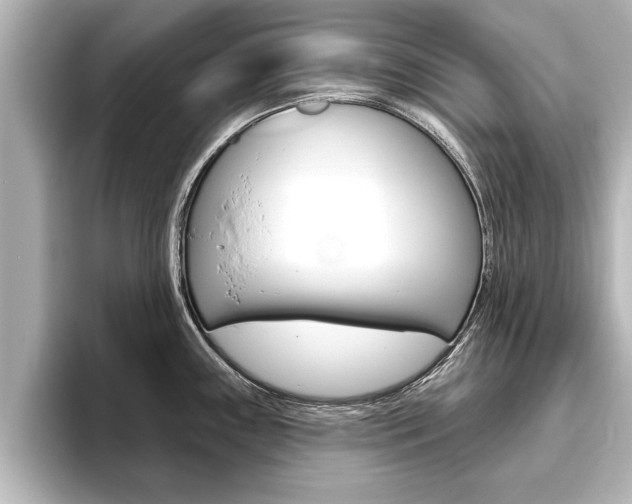 X0000093741243200710160743